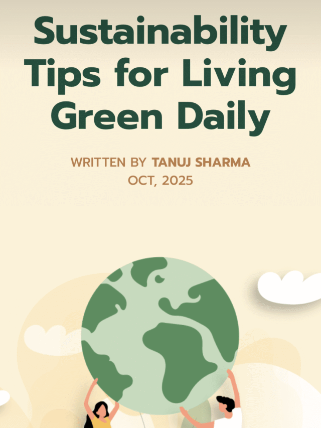 Sustainability Tips for Living Green Daily